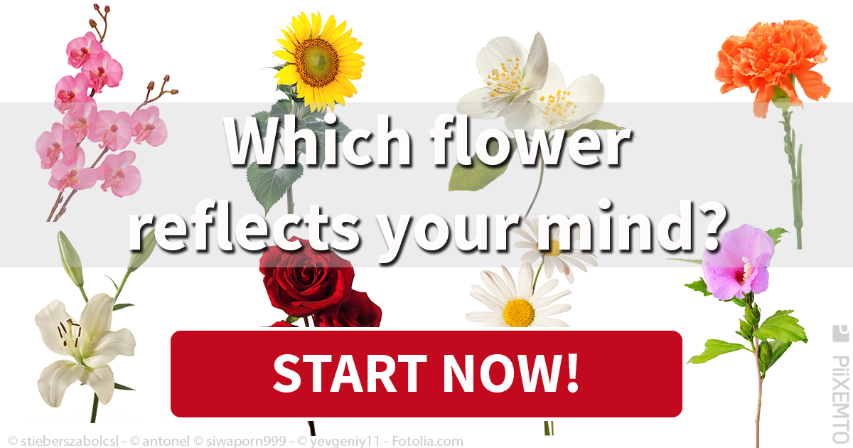 Flower Personality Test Piixemto