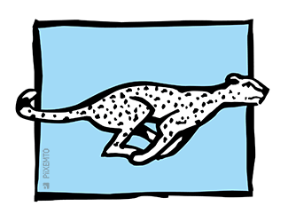 Cheetah